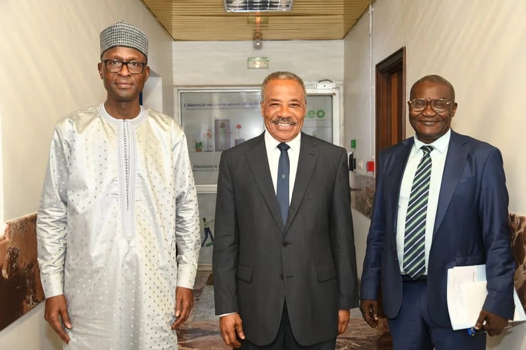 Electricité : les cinq dossiers qui attendent Socadel au Cameroun un mois après sa création