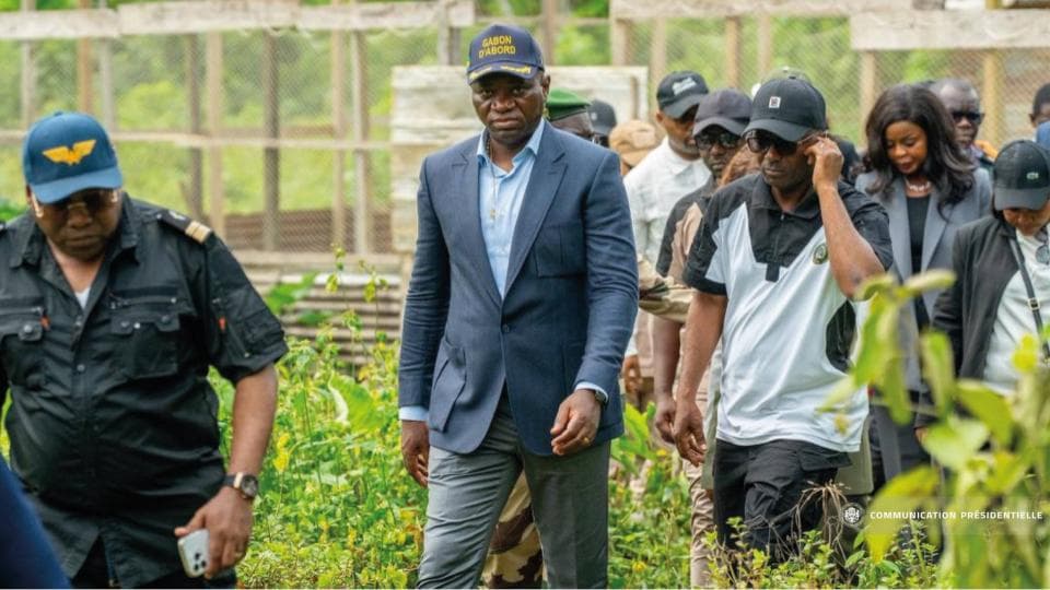 Gabon : Oligui Nguema mobilise près de 3 milliards FCFA pour relancer l’aviculture nationale